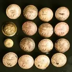 NHVM Buttons.webp
