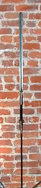 Lionspear.webp