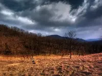 100_9447_2 (Small).webp