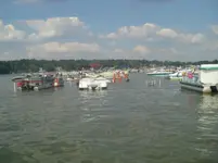 resized.webp