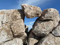 107.webp