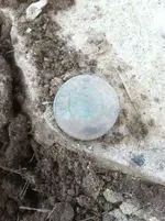 NJ copper dug.webp