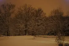 nightsnow.webp