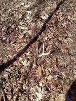 3-1-11 2.webp