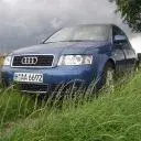 Audi%20On%20Grass.webp