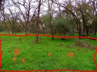 orangevale_park_060_copy3.webp