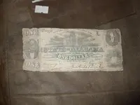 adin dewayne houk 545.webp