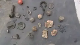 2 half penny 005.webp