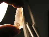 2011-03-02 005.webp