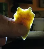 fox.webp