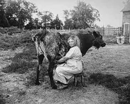 milking.webp