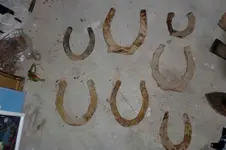 Horseshoes.webp