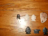 P1010274.webp