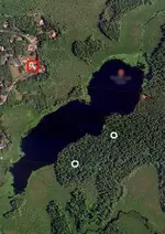 zolotoydrakondowsed.webp