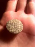 001.webp
