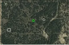txnpullerdowsed.webp