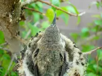 DSC05843(1).webp