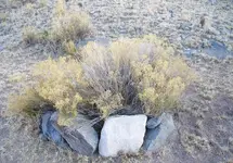 13.webp