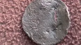 tosted copper 010.webp