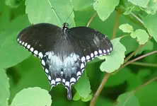 DSC01774.webp