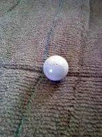 0301011450aa.webp