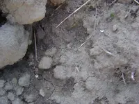 phpuJziaoPM.webp