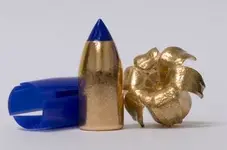 sabot bullet expanded.webp