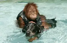 Cooling off.webp