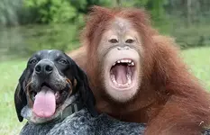 That was funny. Tell me another..webp