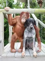 Checking things out.webp