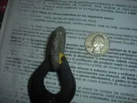CIMG0430.webp