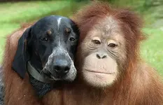 Long live friendship.webp