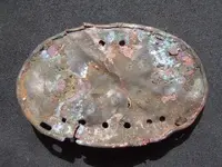 DSCN5014.webp