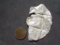 DSCN5018.webp