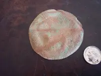 tokensw 160r.webp