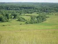 óä2 (800x600).webp