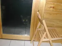 cougar_porch001.webp