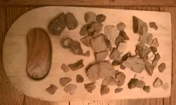 2-21-11 flakes.webp