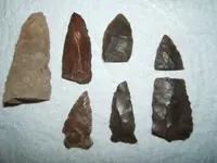 DSCF1469.webp