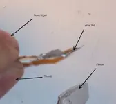 fingernfoil.webp