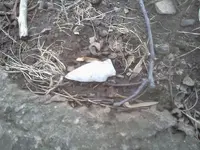 downsized_0221111030.webp