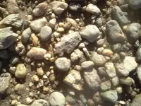 downsized_0219111517.webp