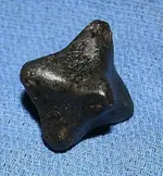 caltrop after.webp