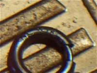 phpk8fb7RPM.webp