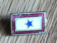 patent service star 9-6-17.webp