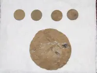 Big coin-2.webp