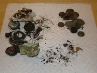 03122011PhillipsPark1.webp