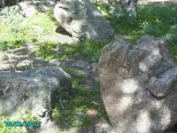 camping 2010 264.webp