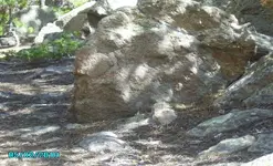 camping 2010 274.webp