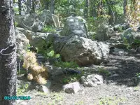 camping 2010 276.webp